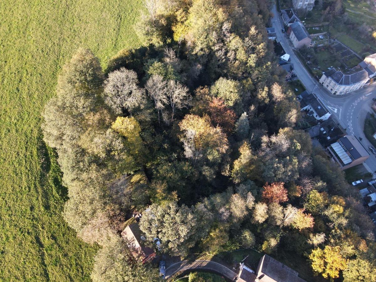 Gites douillets à l’orée des bois. Houyet Exterior foto